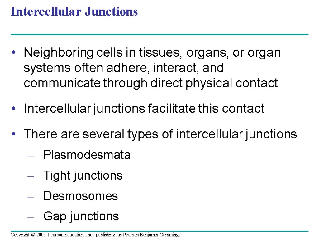 Intercellular Junctions Neighboring cells in tissues, organs, or organ systems often adhere, interact, and